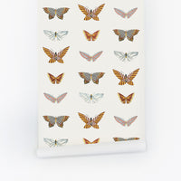 Vintage design butterfly wallpaper with graphic pattern wings and off white background