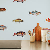 kitchen backsplash wallpaper with tiny rainbow fish