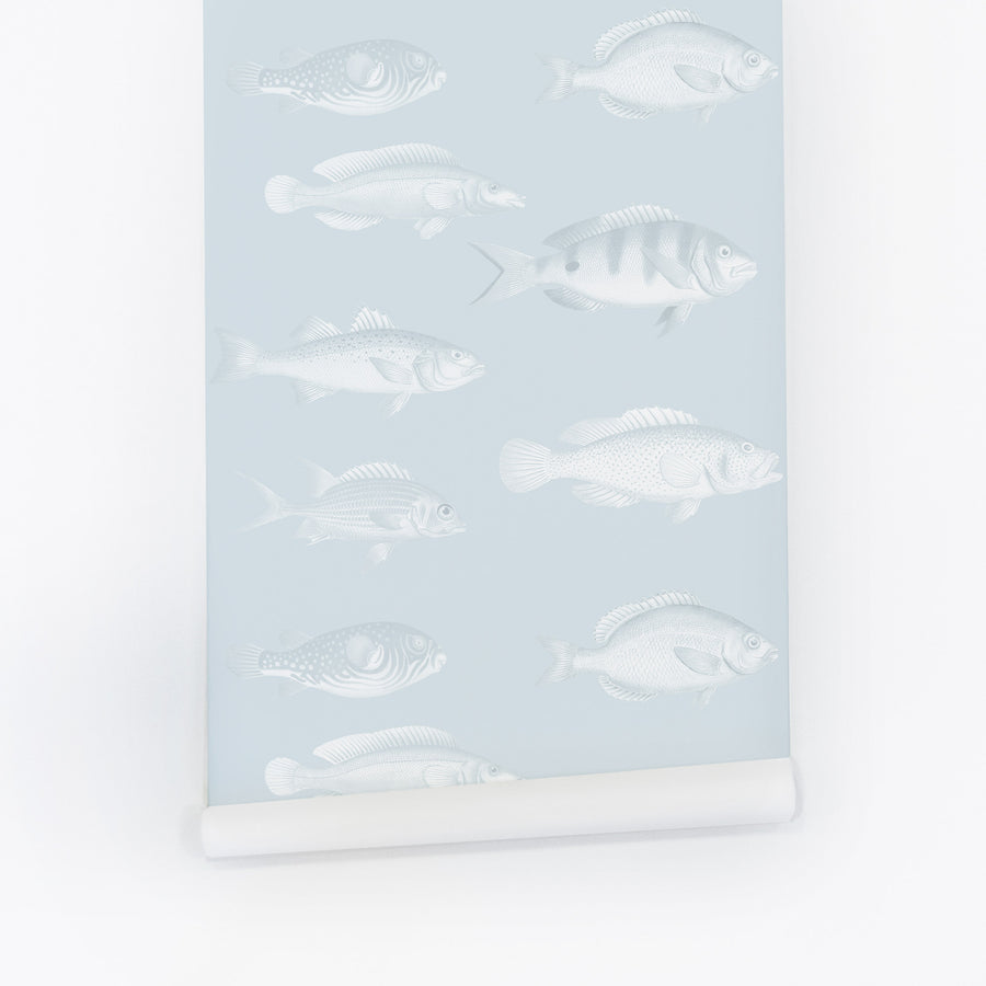 fish print inspired removable wallpaper design