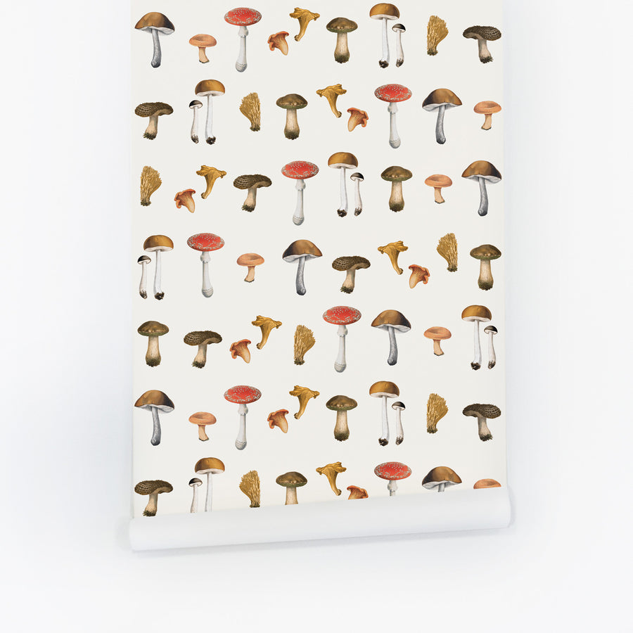 colorful mushroom pattern peel and stick wallpaper for kids bedroom
