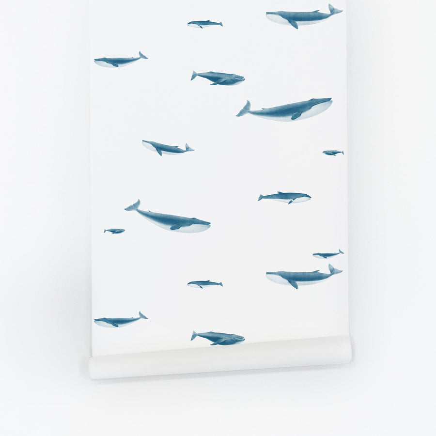 blue tiny whale print peel and stick kids room wallpaper