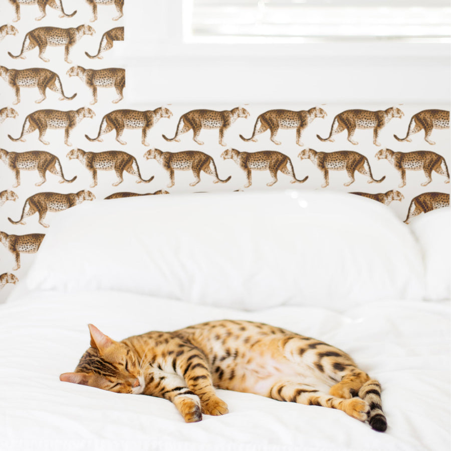modern safari inspired removable wallpaper design with leopard motif