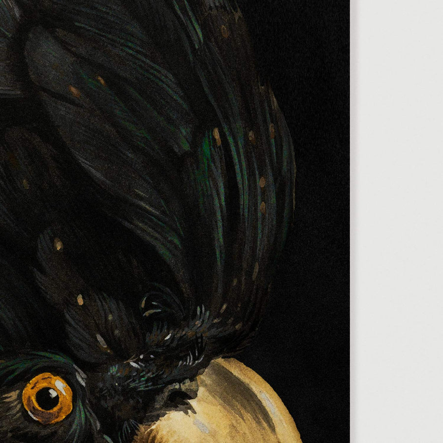 Detailed painting of a black cockatoo