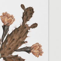 Cactus flower boho print