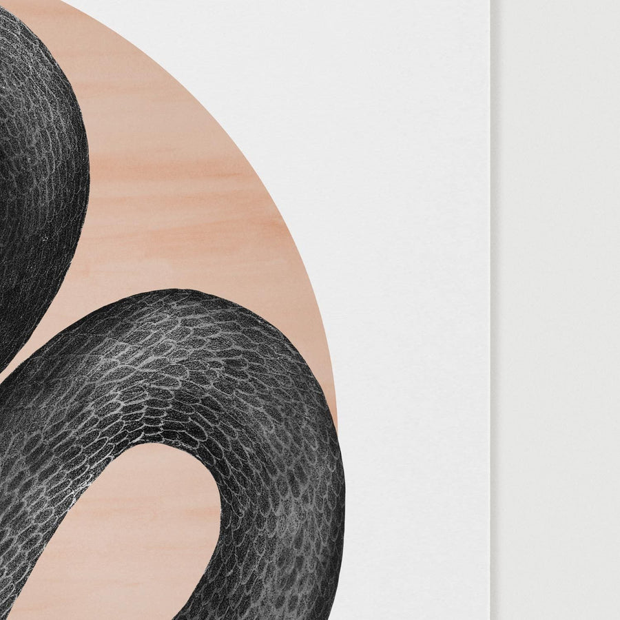 Snake art print 