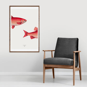 Wall decor fish poster