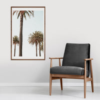 Palm trees poster