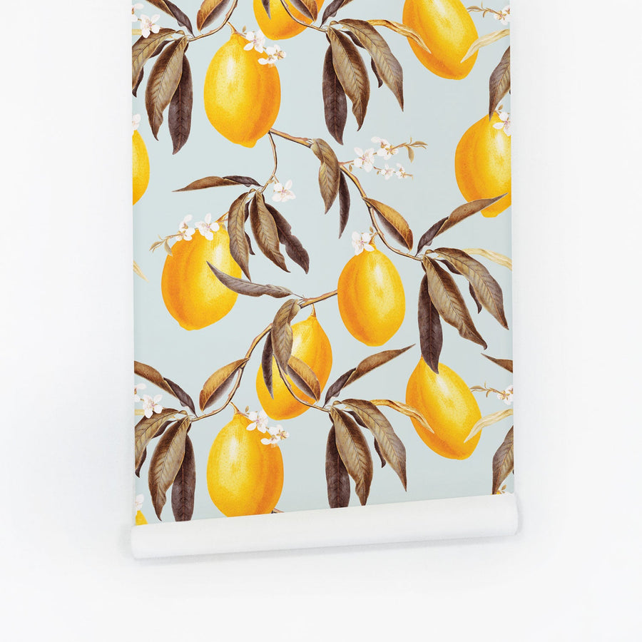 Lemons removable wallpaper designed by Livettes with baby blue and egg yolk yellow colors