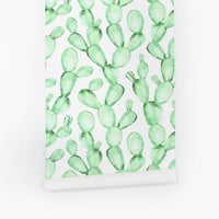 modern pastel cactus removable wallpaper in mint color