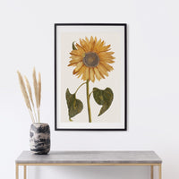 Sunflower painting print poster