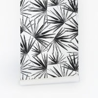 modern black and white tropical palm leaves wallpaper