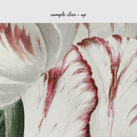 Antique tulips drawing removable wallpaper sample